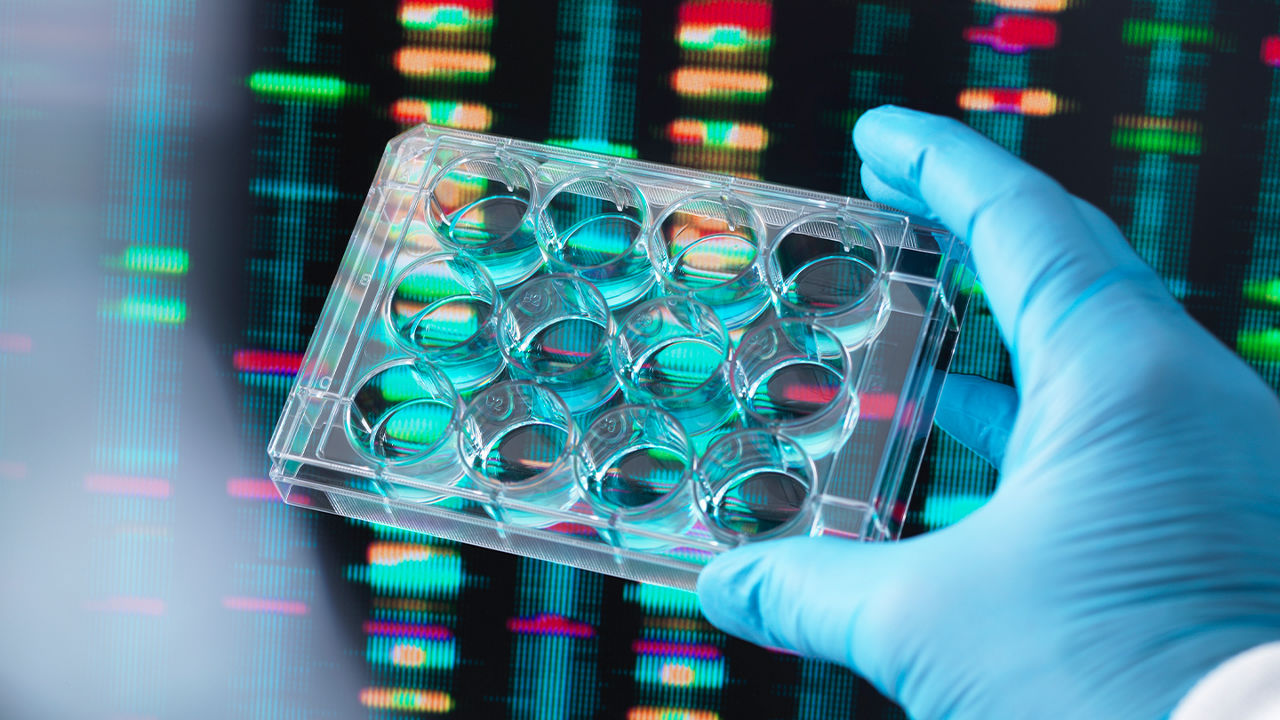 The future of health and aging