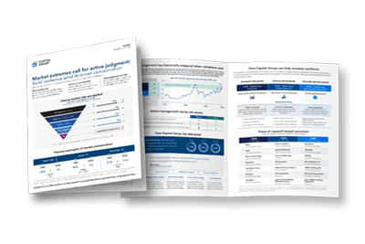 Image of the equity insights brochure