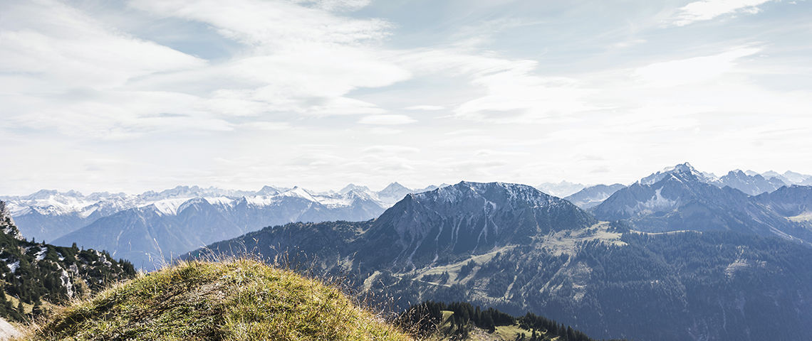 Equity-Study-Landscape