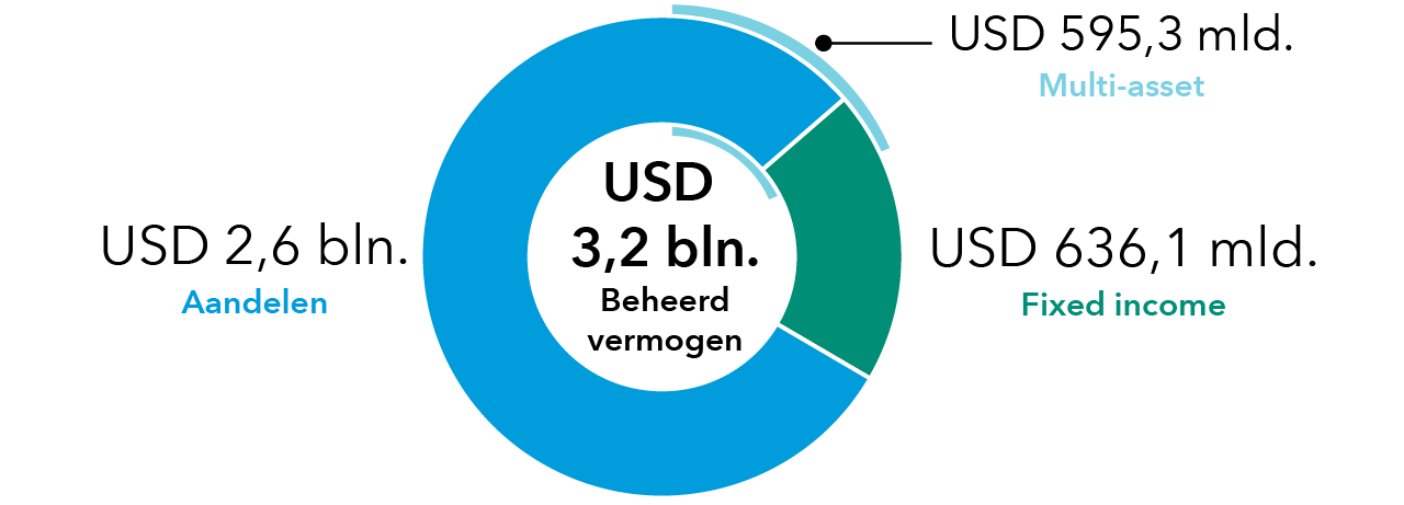 equity pie chart
