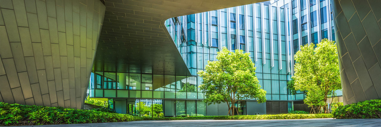 Parque de un edificio con árboles