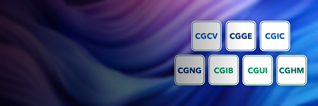 Ticker symbols: CGCV. CGGE. CGIC. CGNG. CGIB. CGUI. CGHM.